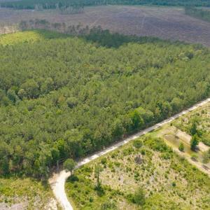 Photo #9 of 6222 Saints Delight Rd., Georgetown, SC 5.8 acres