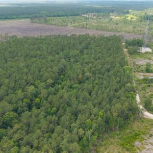 Photo #11 of 6222 Saints Delight Rd., Georgetown, SC 5.8 acres