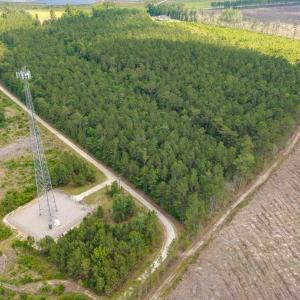 Photo #18 of 6222 Saints Delight Rd., Georgetown, SC 5.8 acres