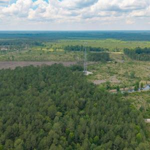 Photo #12 of 6222 Saints Delight Rd., Georgetown, SC 5.8 acres