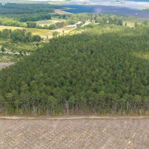 Photo #16 of 6222 Saints Delight Rd., Georgetown, SC 5.8 acres