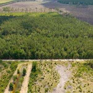 Photo #8 of 6222 Saints Delight Rd., Georgetown, SC 5.8 acres