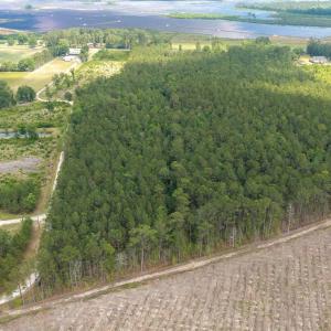 Photo #17 of 6222 Saints Delight Rd., Georgetown, SC 5.8 acres