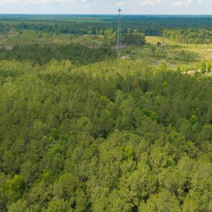 Photo #23 of 6222 Saints Delight Rd., Georgetown, SC 5.8 acres