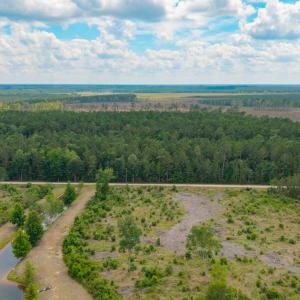 Photo #20 of 6222 Saints Delight Rd., Georgetown, SC 5.8 acres