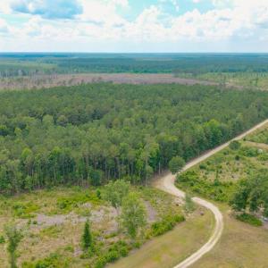 Photo #21 of 6222 Saints Delight Rd., Georgetown, SC 5.8 acres