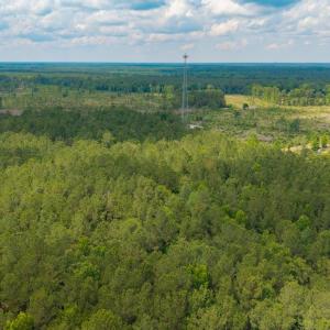 Photo #24 of 6222 Saints Delight Rd., Georgetown, SC 5.8 acres