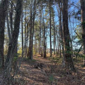 Photo #10 of 1000 Maccoa Dr., Conway, SC 0.4 acres