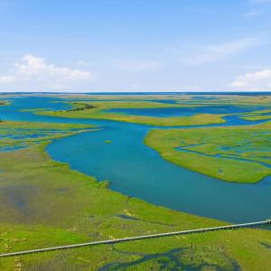 Photo #13 of Lot 4 Josie Way, Georgetown, SC 0.6 acres