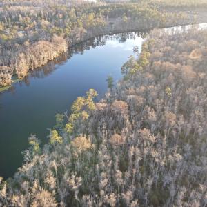 Photo #14 of TBD4 Francis Marion Dr., Georgetown, SC 12.0 acres