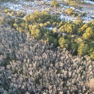 Photo #16 of TBD4 Francis Marion Dr., Georgetown, SC 12.0 acres