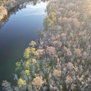 Photo #18 of TBD4 Francis Marion Dr., Georgetown, SC 12.0 acres