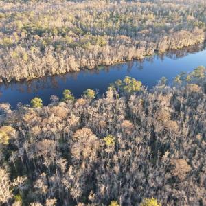 Photo #12 of TBD6 Francis Marion Dr., Georgetown, SC 10.8 acres
