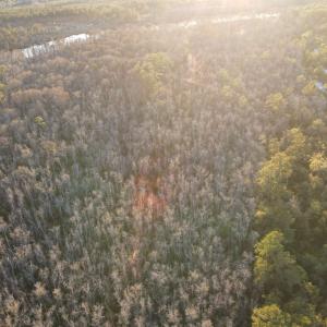 Photo #13 of TBD7 Francis Marion Dr., Georgetown, SC 11.0 acres