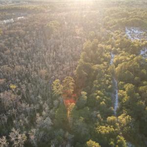 Photo #8 of TBD8 Francis Marion Dr., Georgetown, SC 10.0 acres