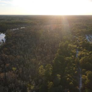 Photo #10 of TBD8 Francis Marion Dr., Georgetown, SC 10.0 acres