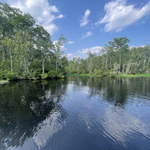 Photo #7 of TBD8 Francis Marion Dr., Georgetown, SC 10.0 acres