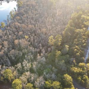 Photo #9 of TBD8 Francis Marion Dr., Georgetown, SC 10.0 acres