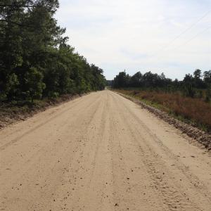Photo #7 of 2631 Charlie Johnson Rd, Bethune, SC 12.0 acres