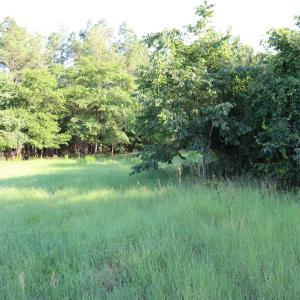 Photo #14 of 2631 Charlie Johnson Rd, Bethune, SC 12.0 acres