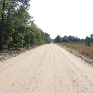 Photo #5 of 2631 Charlie Johnson Rd, Bethune, SC 12.0 acres