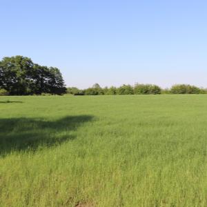 Photo #12 of 2631 Charlie Johnson Rd, Bethune, SC 12.0 acres