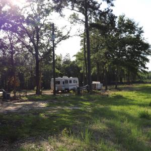 Photo #15 of 2631 Charlie Johnson Rd, Bethune, SC 12.0 acres