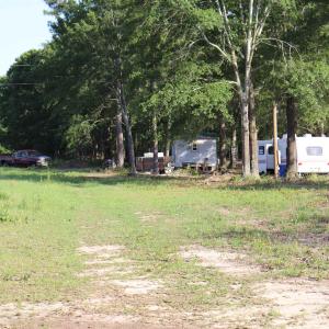 Photo #8 of 2631 Charlie Johnson Rd, Bethune, SC 12.0 acres