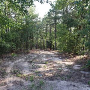 Photo #19 of 2631 Charlie Johnson Rd, Bethune, SC 12.0 acres