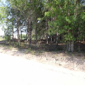 Photo #18 of 2631 Charlie Johnson Rd, Bethune, SC 12.0 acres