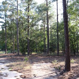 Photo #25 of 2631 Charlie Johnson Rd, Bethune, SC 12.0 acres