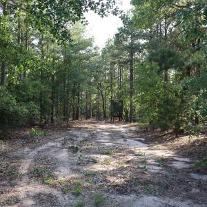 Photo #20 of 2631 Charlie Johnson Rd, Bethune, SC 12.0 acres