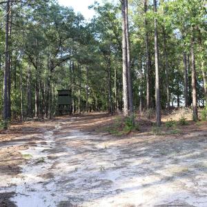 Photo #28 of 2631 Charlie Johnson Rd, Bethune, SC 12.0 acres
