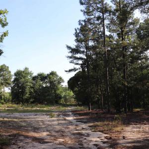 Photo #23 of 2631 Charlie Johnson Rd, Bethune, SC 12.0 acres