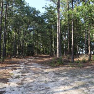 Photo #29 of 2631 Charlie Johnson Rd, Bethune, SC 12.0 acres
