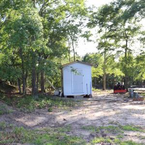 Photo #10 of 2631 Charlie Johnson Rd, Bethune, SC 12.0 acres