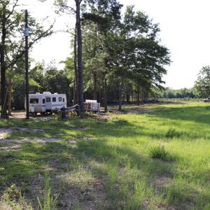 Photo #16 of 2631 Charlie Johnson Rd, Bethune, SC 12.0 acres