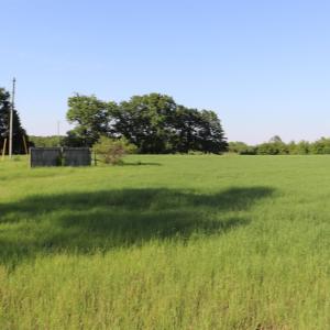 Photo #11 of 2631 Charlie Johnson Rd, Bethune, SC 12.0 acres