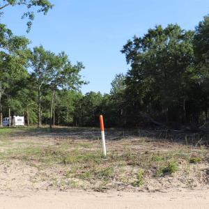 Photo #24 of 2631 Charlie Johnson Rd, Bethune, SC 12.0 acres