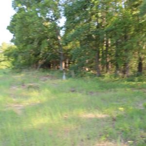 Photo #13 of 2631 Charlie Johnson Rd, Bethune, SC 12.0 acres