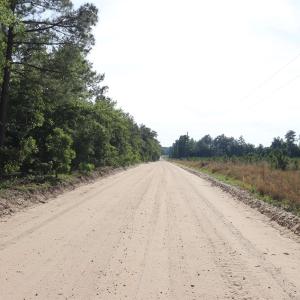 Photo #6 of 2631 Charlie Johnson Rd, Bethune, SC 12.0 acres