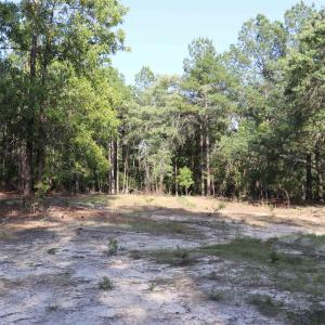 Photo #27 of 2631 Charlie Johnson Rd, Bethune, SC 12.0 acres
