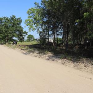 Photo #17 of 2631 Charlie Johnson Rd, Bethune, SC 12.0 acres
