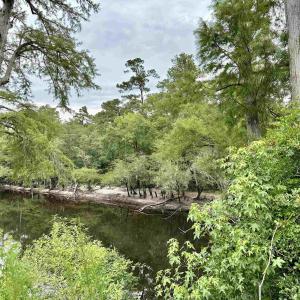 Photo #11 of 11 Gulley Ln., Salters, SC 1.0 acres
