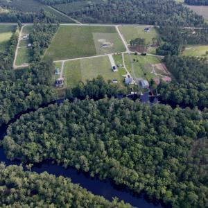 Photo #12 of 11 Gulley Ln., Salters, SC 1.0 acres