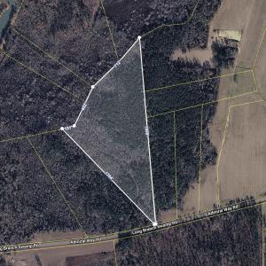 Photo #2 of TBD (Tract 1) Long Branch Swamp Rd., Green Sea, SC 20.1 acres