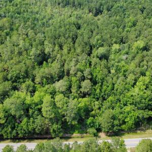 Photo #3 of TBD (Tract 1) Long Branch Swamp Rd., Green Sea, SC 20.1 acres