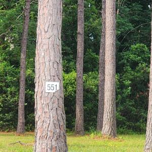 Photo #2 of 1152 Fiddlehead Way, Myrtle Beach, SC 0.4 acres