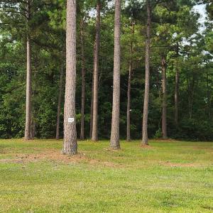 Photo #3 of 1152 Fiddlehead Way, Myrtle Beach, SC 0.4 acres