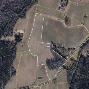 Photo #3 of TBD (Tract 4 R) Long Branch Swamp Rd., Green Sea, SC 22.0 acres